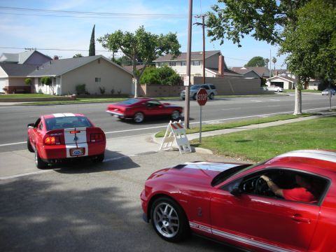 1998 Ford Crown Victoria - Three red Ford Mustangs are visible on a suburban street, with two parked and one driving.