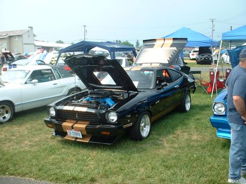 1978 Ford Mustang II - A black Ford Mustang II with gold racing stripes is displayed with its hood and trunk open at an outdoor car show.