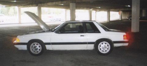 1992 Ford Mustang - Side view of a white 1992 Ford Mustang coupe, hood up, parked indoors.