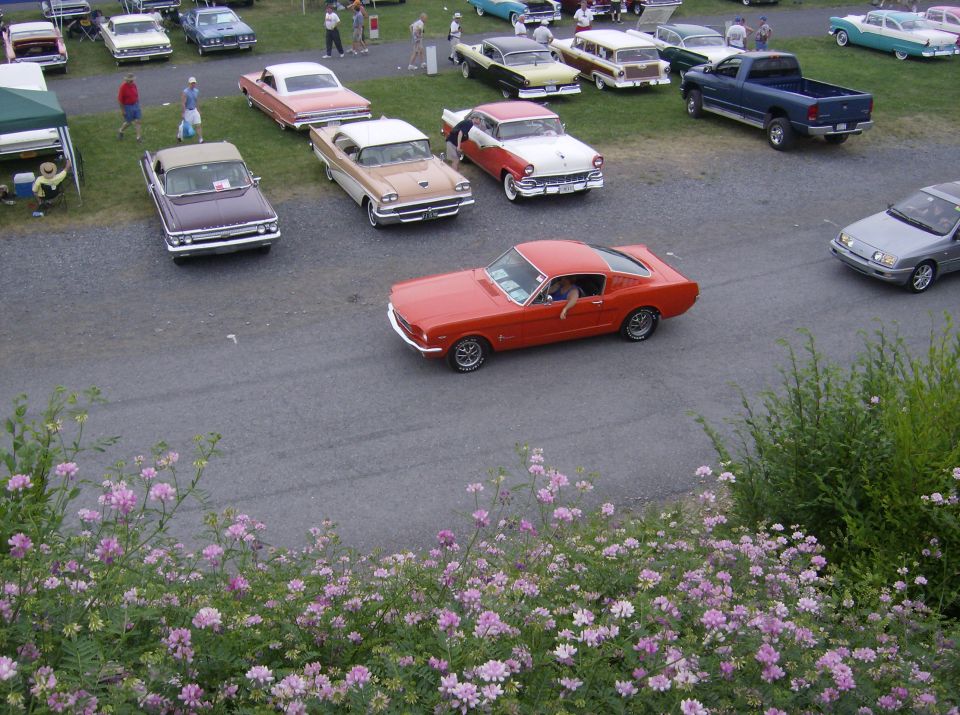 Orange 1965 Ford Mustang fastback driving on asphalt, with other classic cars parked in background