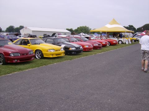 1970 Ford Ranchero - Multiple Ford Mustangs are lined up on display at an outdoor event, with a yellow tent providing shade.