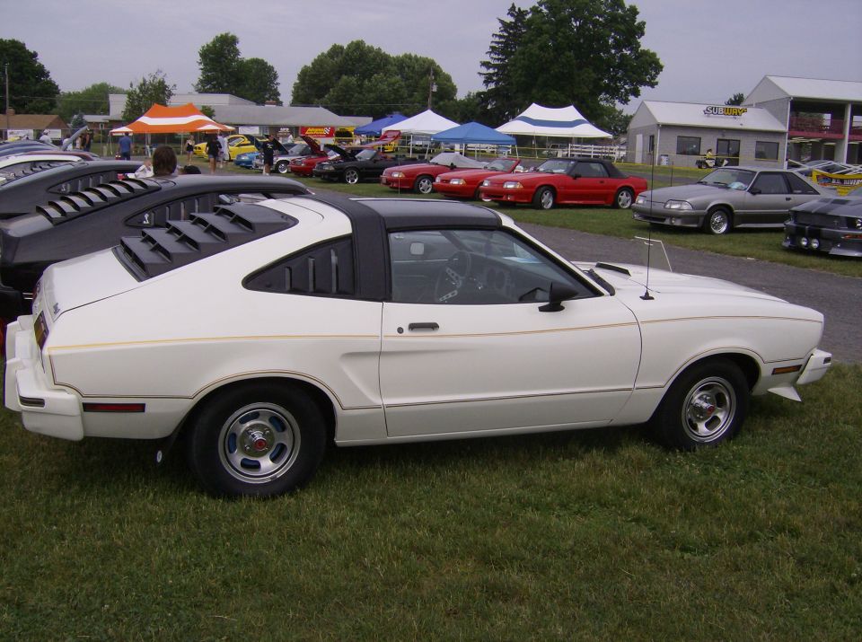 White coupe with black roof and louvers on rear window, parked on grass at an outdoor event