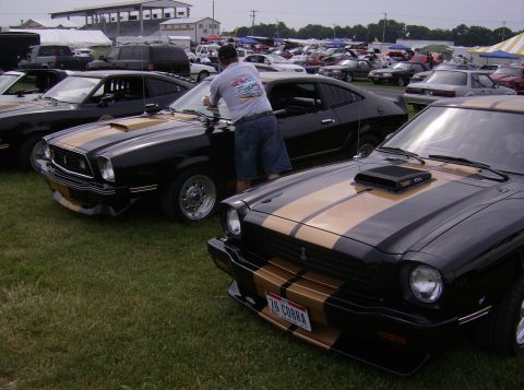 1970 Ford Ranchero - Several black and gold striped cars are parked on a grassy field at an outdoor event.