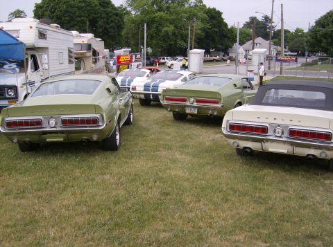 1970 Ford Ranchero - A collection of vintage Ford Mustangs, including a Shelby and several Mach 1 models, are displayed outdoors on a grassy field.