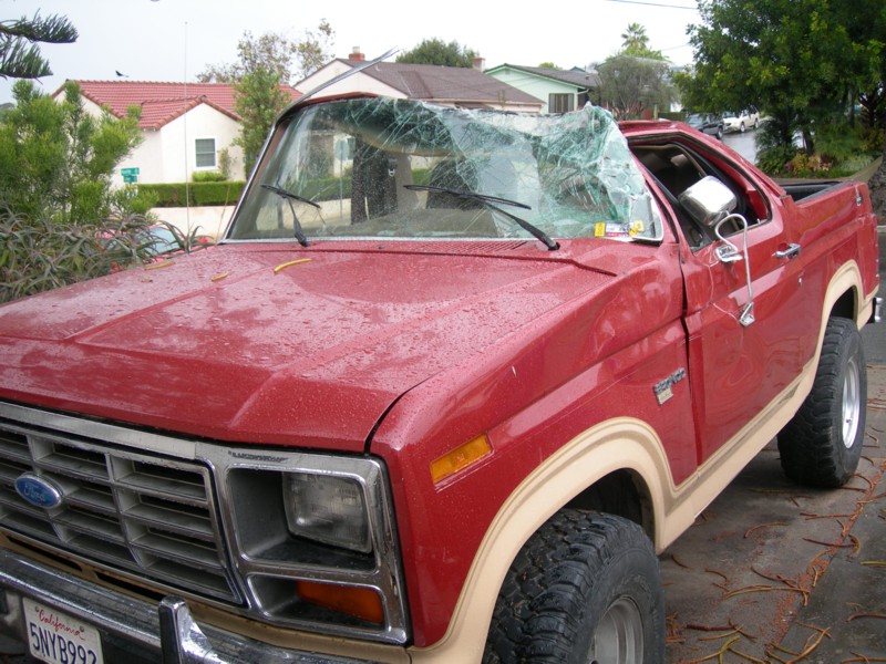 1994 Ford Bronco “the bruise”