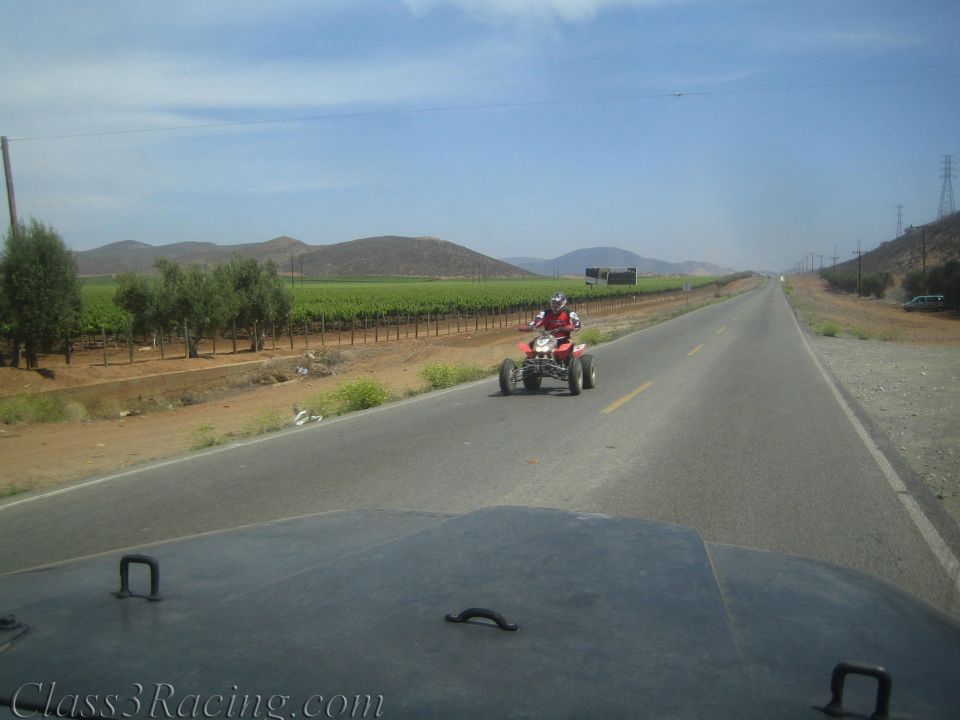 Red ATV quad rider on a rural two-lane highway beside green vineyard fields