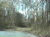 1980 Ford Bronco - Image displays 'SM FILE NOT FOUND' text, indicating the absence of the intended vehicle registry photo.