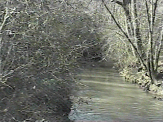 1980 Ford Bronco - The image displays the text "SM FILE NOT FOUND" indicating that the intended content could not be retrieved.