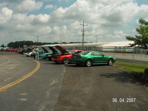 1988 Ford Mustang - A line of Ford Mustangs are parked in a lot on a cloudy day, with a green Mustang in the foreground.