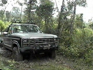 1980 Ford Bronco - This Ford Bronco is navigating a muddy trail surrounded by dense foliage.