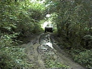 1980 Ford Bronco - A white SUV navigates a challenging muddy road surrounded by dense forest foliage. The Supermotors.net logo is visible in the lower right c…