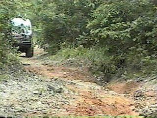 1980 Ford Bronco - A white 1980 Ford Bronco navigates a rough dirt path surrounded by dense foliage.