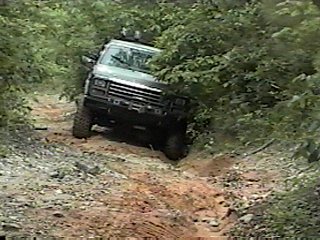 1980 Ford Bronco - 1980 Ford Bronco driving off-road through trees and brush on a dirt path.