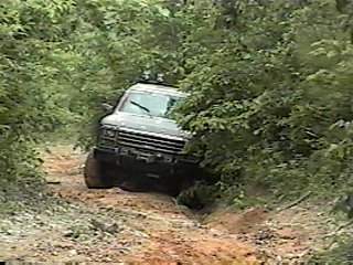 1980 Ford Bronco - A Ford Bronco navigates a muddy, overgrown path, kicking up dirt.