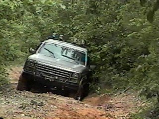 1980 Ford Bronco - A 1980 Ford Bronco navigates a challenging off-road path through thick vegetation.