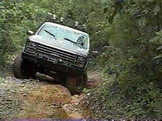 1980 Ford Bronco - A 1980 Ford Bronco navigates a wooded trail, demonstrating its off-road capabilities.