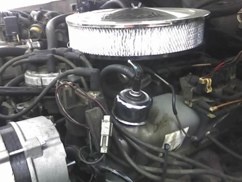 1985 Ford Crown Victoria LTD - Close-up view of an engine bay, a chrome air cleaner and distributor cap.