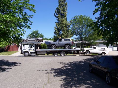 1983 Ford Bronco - here is the view from the side my 1986 5.0 convertable, Jezebel and the 1960 truck.