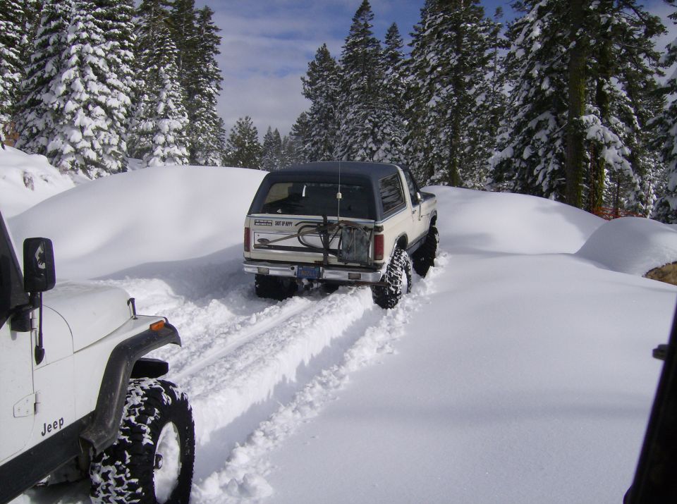 White Ford Bronco with a blue top driving in snow, rear view