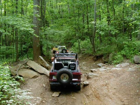 1990 Ford Bronco - Off-road vehicles navigate a challenging, rocky path through a dense forest.