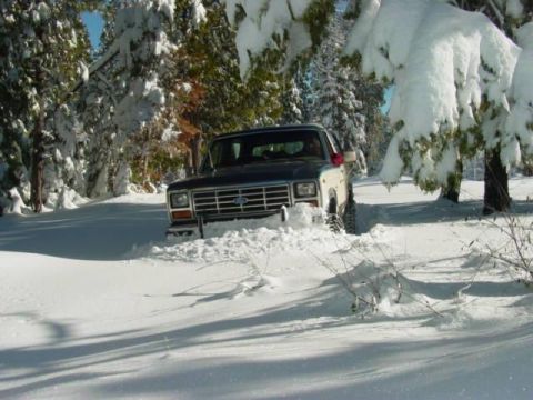 1986 Ford Bronco - Ford Bronco stuck in snow-covered woods.