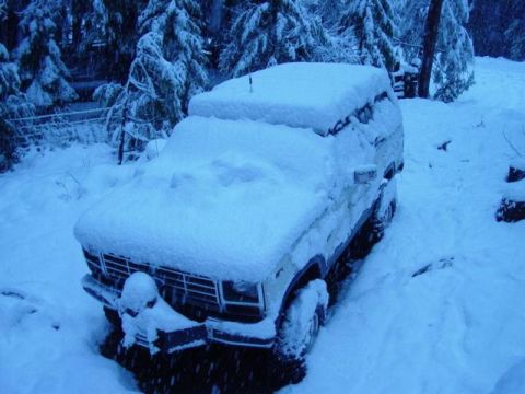 1986 Ford Bronco - A vehicle is covered in a thick blanket of snow in a wooded area during a snowfall.