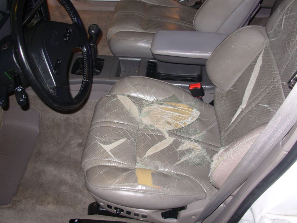 Car interior with torn leather seats and a steering wheel