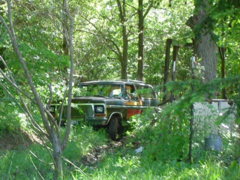 1979 Ford Bronco - A 1979 Ford Bronco with dark brown and orange paint is partially obscured by trees and foliage.