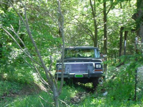 1979 Ford Bronco - Front view of a 1978 Ford Bronco parked in a wooded area.