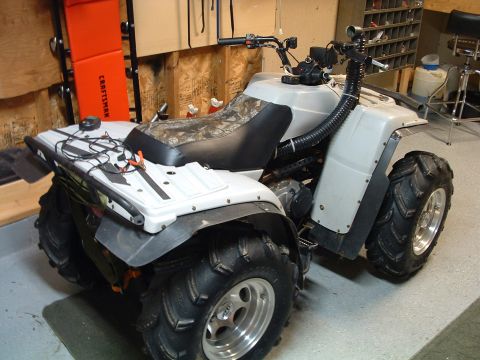 1994 Yamaha TIMBERWOLF “beater”