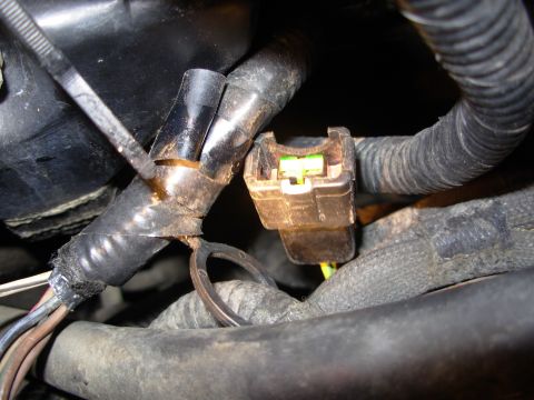 1995 Ford Taurus - A close-up view of a vehicle's engine bay shows a wiring harness with a disconnected electrical connector.