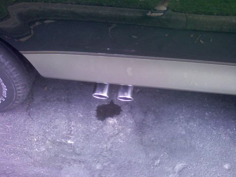 2001 Ford F-150 - The vehicle's dual exhaust pipes are visible, with a dark fluid stain on the ground beneath them.