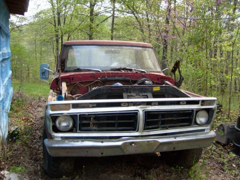 1976 Ford F-100 - This 1976 Ford F-100 is shown from the front with its hood open, revealing the engine compartment.