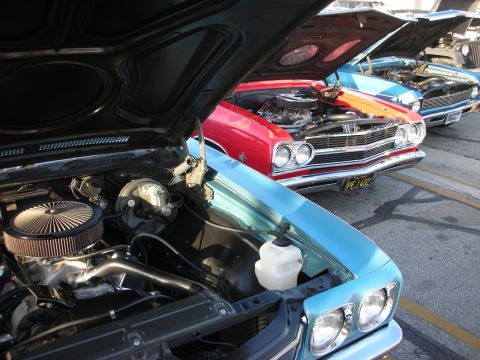 1998 Ford Crown Victoria - Several classic cars are lined up with their hoods raised, displaying their engines.