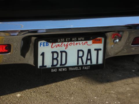 1998 Ford Crown Victoria - The license plate reads '1 BD RAT' and has a sticker indicating it is from California and valid until 2008.
