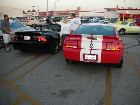 1998 Ford Crown Victoria - Two Mustangs, a red Shelby and a black convertible, parked in a lot with other vehicles.