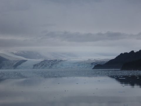 1973 Ford Ranchero - A vast glacier meets the ocean, with ice floes scattered on the water's surface under an overcast sky.