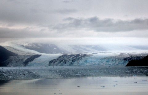 1973 Ford Ranchero - A vast glacier flows into the ocean, with icebergs floating in the water under an overcast sky.