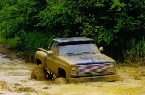 1976 Chevrolet Blazer - Pickup truck stuck deep in mud, surrounded by trees and tall grass.