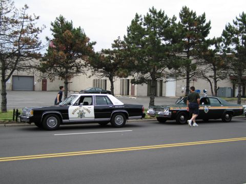 1991 Ford LTD Crown Victoria - black-and-white police sedan and a green-and-gold State Trooper car are parked along a street lined with pine trees.