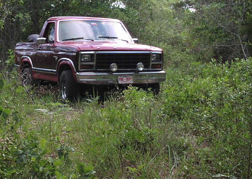 1981 Ford Bronco “tainted love”