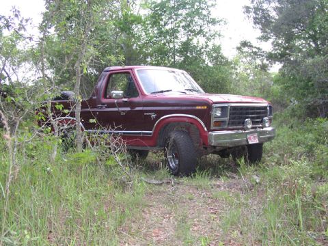 1981 Ford Bronco - A maroon Ford Bronco is partially obscured by foliage in a wooded area.