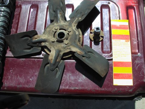 1981 Ford Bronco - No noise just damage!