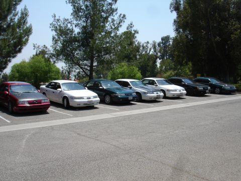 1993 Ford Taurus - A row of Ford Taurus sedans, including a red 1993 model with a dark hood, are parked in a lot.