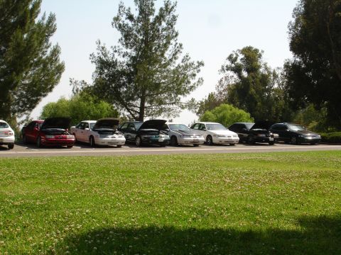 1993 Ford Taurus - Multiple sedans are parked in a line, with some hoods open, under a clear sky.