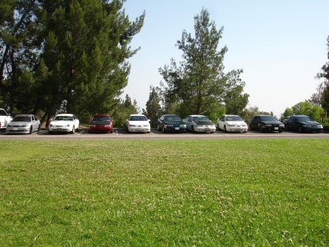 1993 Ford Taurus - A line of sedans are parked in a lot next to a grassy area with trees.
