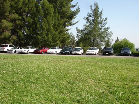 1993 Ford Taurus - A row of sedans are parked on a paved surface, with a grassy area in front and trees behind.