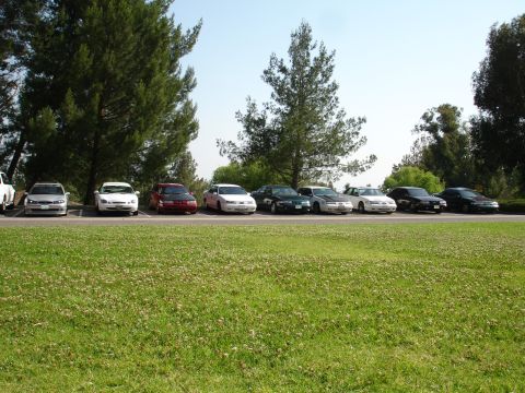 1993 Ford Taurus - A row of sedans, including a 1993 Ford Taurus, are parked in a lot with trees and a grassy foreground.