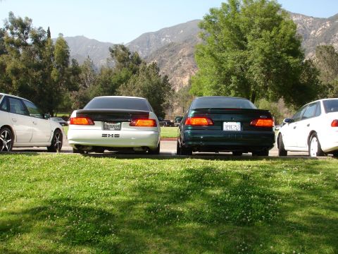 1993 Ford Taurus - Several cars are parked in a grassy area with trees and mountains visible behind them.