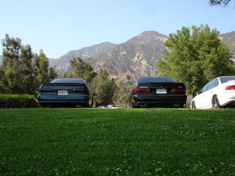 1993 Ford Taurus - Two Ford Taurus sedans from the early 1990s are parked on a grassy hill with mountains in the distance.